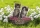 Puzzle cainele, pisicuta si soricelul, 1000 piese Ravensburger