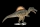 Figurina Spinosaurus Mojo