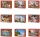 Puzzle 3000 piese Castorland
