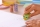 Radiera BIC Vibbies cu animalute, diverse culori