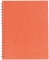 Agenda Premier, 26 cm, nedatata, Ego portocaliu